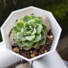 S♡様 リクエスト 2点 まとめ商品