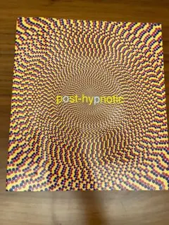 洋書 Post-Hypnotic 現代アート 図録 Peter Halley