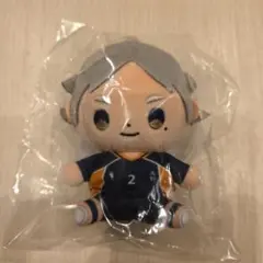 ハイキュー!! むにゅぐるみ BC マスコット 菅原孝支 - メルカリ