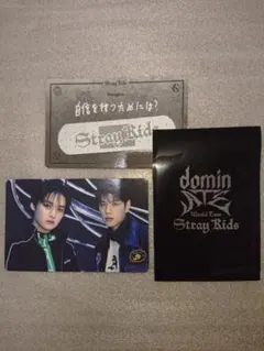 Stray Kids domin フォーチュンカード リノ &スンミン