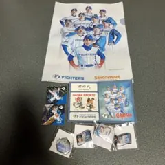 【匿名発送】北海道日本ハムファイターズ グッズ　まとめ売り