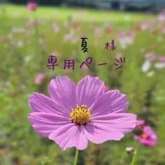 夏様★専用ページ