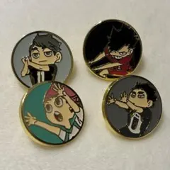 ハイキュー ピンズ ＊留め具なし