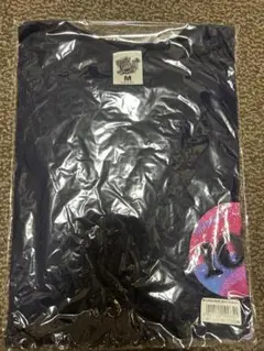 Item thumbnail for item b1febac3-a042-438e-9ab5-06fc86942b32