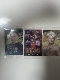 RIZINウエハース　レア　シークレット