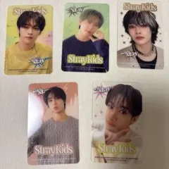 Stray Kids タレントカード 5枚セット
