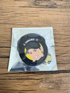 阪神タイガース 梅野・木浪 ミニワッペンセット