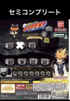 家庭教師ヒットマンREBORN ボンゴレリング　ガチャガチャ　セミコンプリート