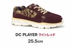 25.5cm DC PLAYER DC プレイヤーのサムネイル