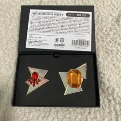 和泉三月　BIGINNING NEXT ブローチ