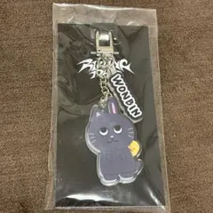 RIIZE ウォンビン トニャンドク アクリルキーホルダー - メルカリ