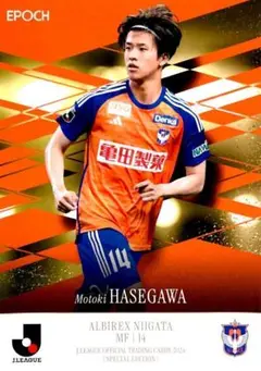 【お値下げ中‼️】アルビレックス新潟　2025ユニフォーム　長谷川元希 トップチーム（長谷川 元希） - アルビレックス新潟 公式サイト