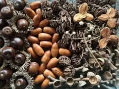木の実セット　木の実のリース　マツボックリ　ドングリ　秋のリース　ハンドメイド