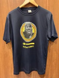 ゴーゴーカレードライシルキーＴシャツ【Ｌ】２着