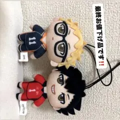 ハイキュー!! ぬいぐるみマスコット 2体セット