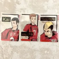 ハイキュー ファンパーク 箔押しクリアカード 音駒 海信行 犬岡走 山本猛虎