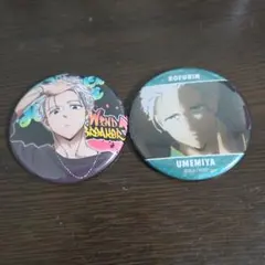 WINDBREAKER 梅宮一 缶バッジ