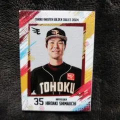 楽天イーグルス ミニスタメンパネル クリアカード 缶バッジ #35 島内宏明
