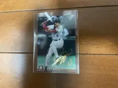 いたいちゃん様 リクエスト 2点 まとめ商品