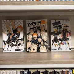 ハイキュー!! コンプリートガイドブック 公式カラーイラスト集