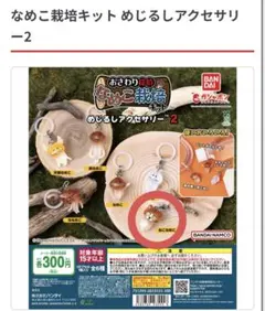 なめこ栽培キット めじるしアクセサリー2