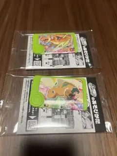 ポケモン　フレンダ　カイリュー リザードン