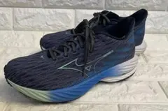 Mizuno Wave Rider 28 ミズノウェーブライダー28