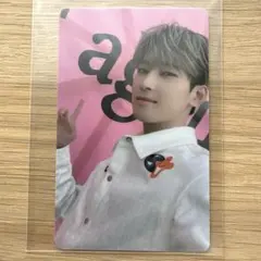 セブチ SEVENTEEN Your Choice ウォヌ ラキドロ トレカ