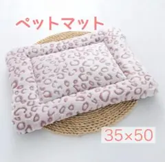 Item thumbnail for item 657ca877-8fe0-4e1f-a7f6-1224ff8da6b9