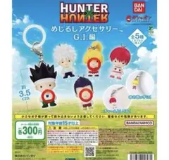 HUNTER×HUNTER GI編 ゴン キルア ビスケ レイザー 4個セット - メルカリ