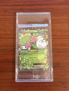 シェイミEX：プレミアムポケキュン♥セット PROMO XYシリーズプロモーシ…のサムネイル