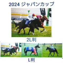 naomi様 リクエスト 2点 まとめ商品