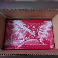 HG　デスティニーガンダムSpecⅡ（最終決戦仕様）