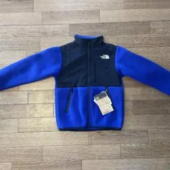 Item thumbnail for item 47bd0acf-606e-47fc-bea2-ceb90c849919