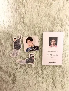 ラウール　ポートレートシリーズ2023 フレークシール&名刺カードセット