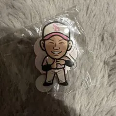 中村晃　アクリル