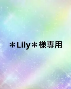 ＊Lily＊様専用