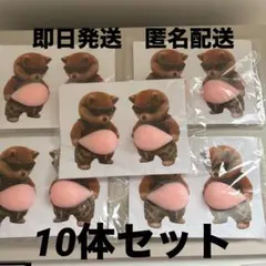 犬 お腹ぷにぷにシール ステッカー 柴犬 10匹セット