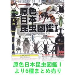 訳アリ 原色昆虫類甲虫図鑑 YUJIN ユージン 株主優待品 希少品 - メルカリ