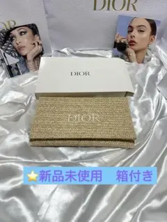 Dior ベージュ クラッチバッグロゴ刺繍入り新品未使用
