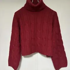 桜*様 em i+ ケーブル編み タートルネック 冬ニット 赤　フリーサイズ　即