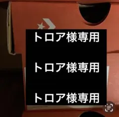 トロア様専用ページ