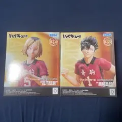 ハイキューフィギュア 小爪研磨と黒尾鉄朗2体セット