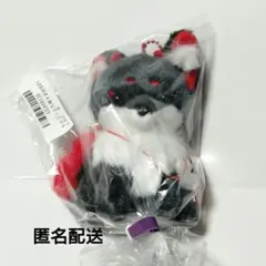 コボレイジ様 リクエスト 2点 まとめ商品