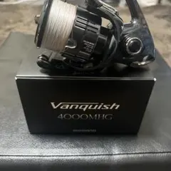 2026年最新】19ヴァンキッシュ 4000mhgの人気アイテム - メルカリ