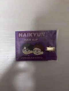 ハイキュー!!ジロリ前髪クリップ牛島＆天童