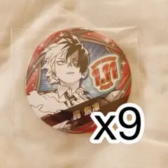 僕のヒーローアカデミア ヒロアカ 轟焦凍