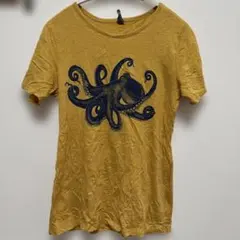 Item thumbnail for item b1405eb6-cab9-4353-8be0-dc56c17aed88