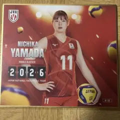 バレーボール女子日本代表　秋本美空選手　トレーディングmini色紙 秋本美空選手 バレーボール女子日本代表 トレーディングmini色紙