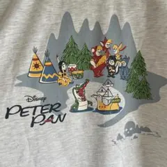 【美品】Disney ピーターパン Tシャツ LL グレー バックプリント
